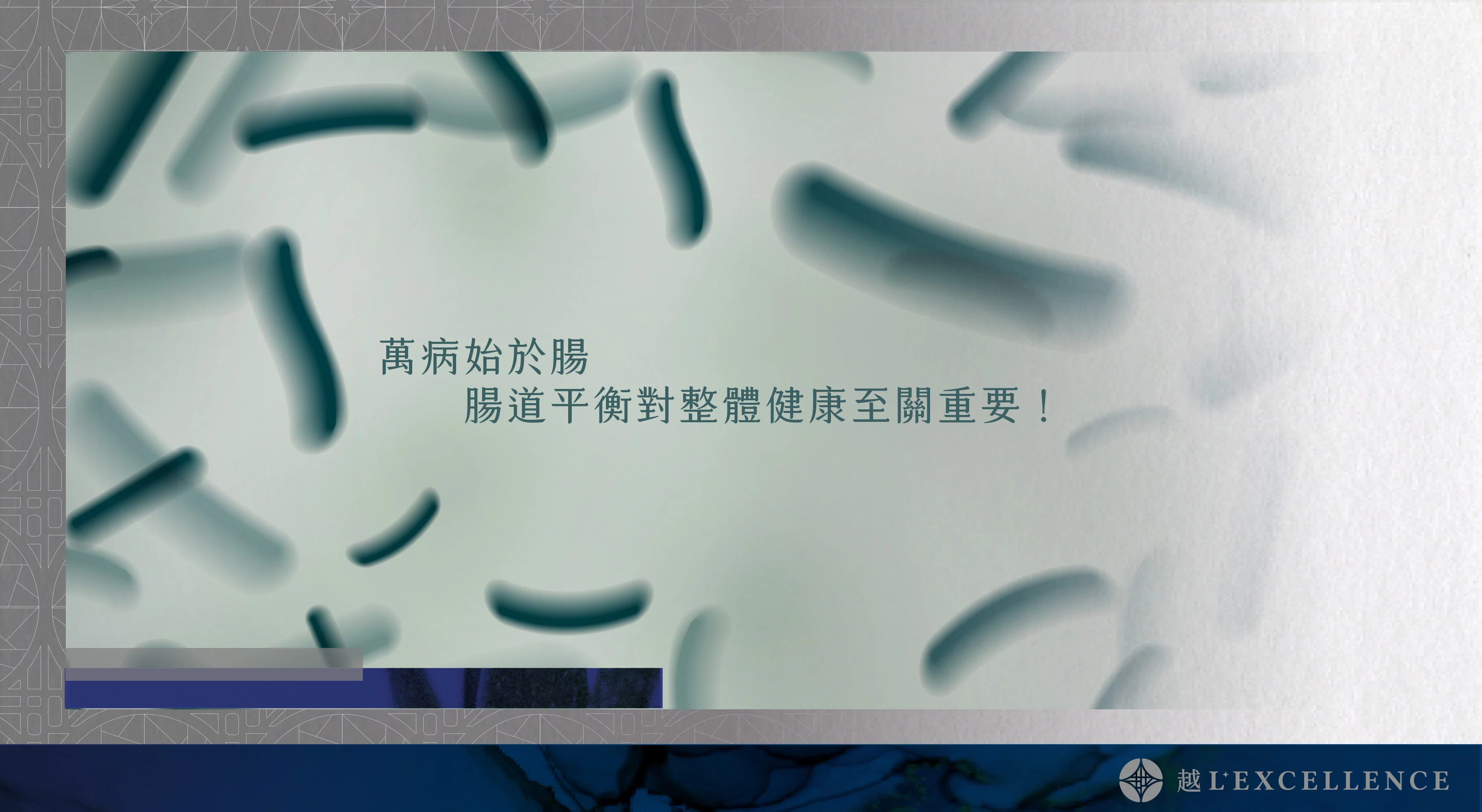 減重調控管理 減重門診 減脂 減肥法 瘦身 越診所02