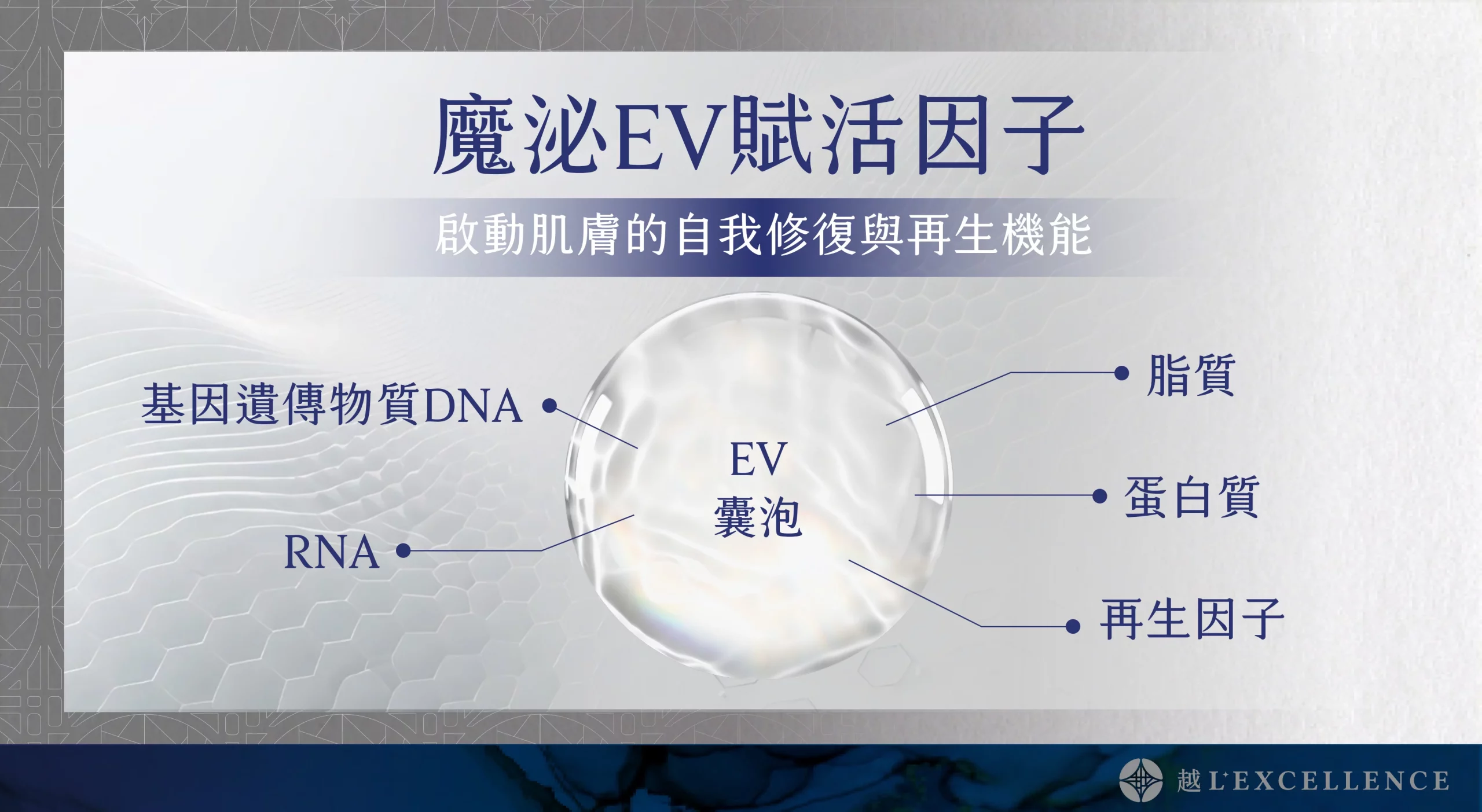 魔泌EV Exosome外泌體 肌膚 私密處 越診所02