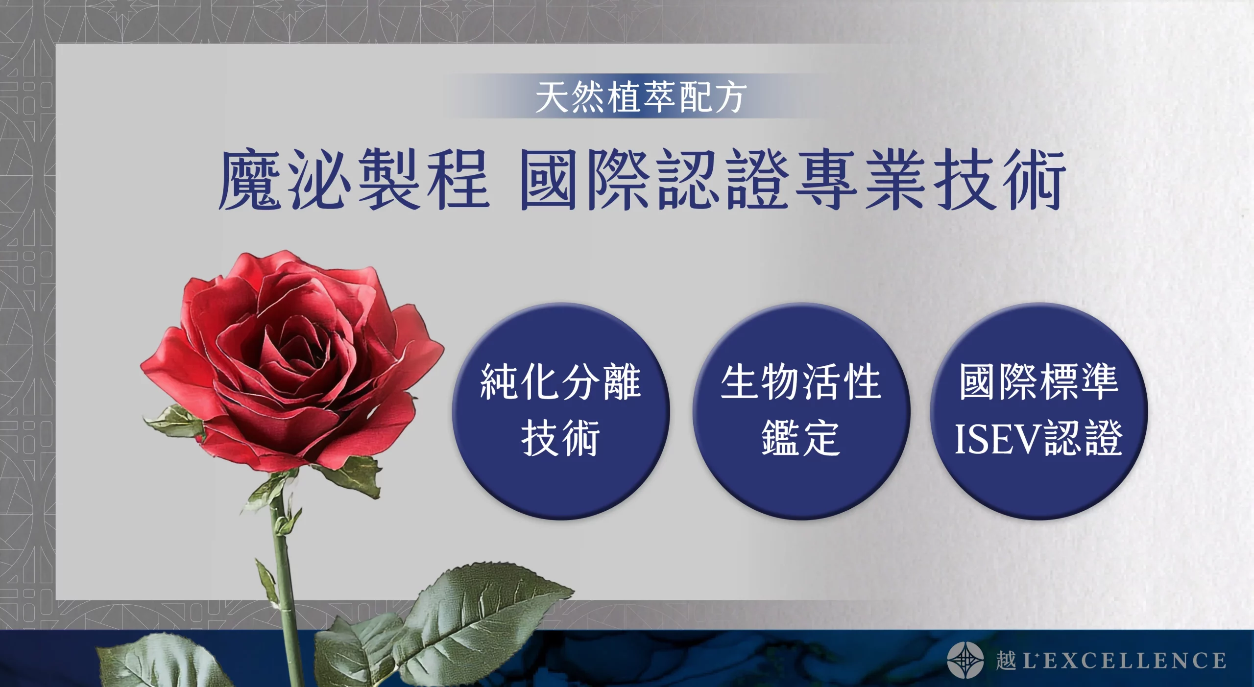 魔泌EV Exosome外泌體 肌膚 私密處 越診所03